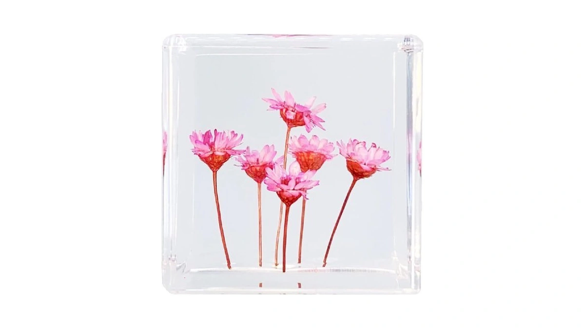 Bon Cube Real Flower Desk Accessory Mini Resin Cube β