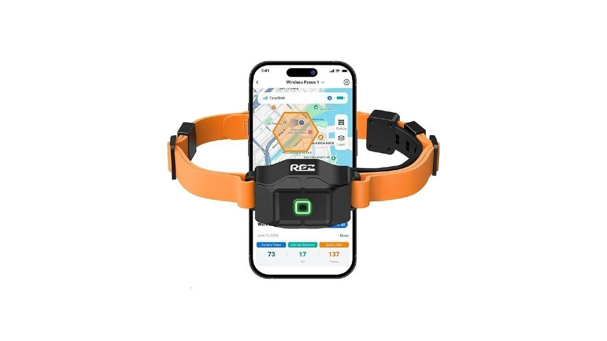 Rpz Gps Wireless Dog Collar Fence With Free App, No