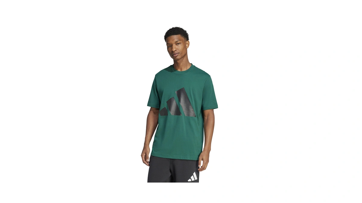 Adidas Men's Essentials Big Logo T-shirt, Collegiate Green/black, Medium/tall