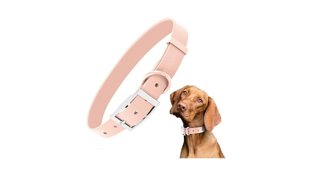 Wisedog Waterproof Dog Collar, Xs 7"-10", Gossamer Pink