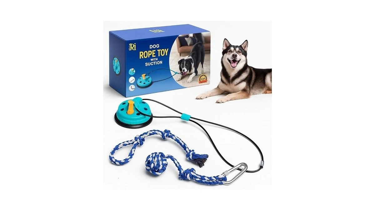 Dog Rope Toy With Suction - Perfect Dog Toys For