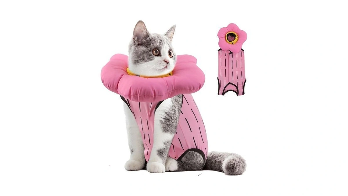 Emust 2pcs Cat Recovery Suit & Cat Surgery Suit -