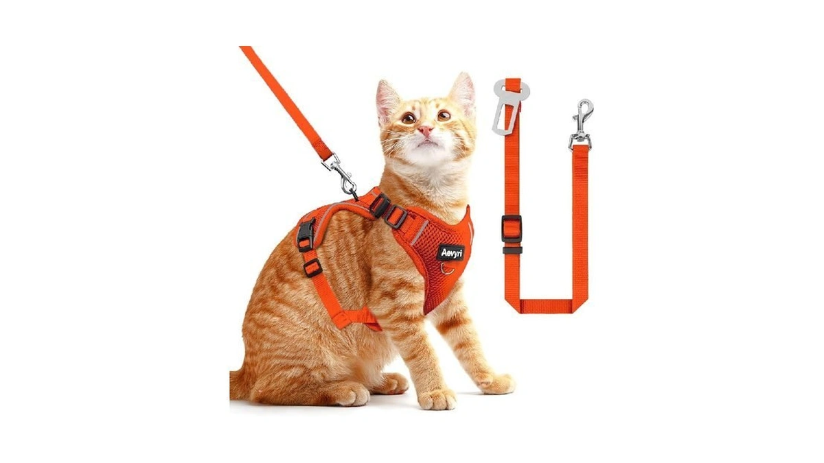 Cat Harness And Leash For Walking, 3 In 1 Adjustable