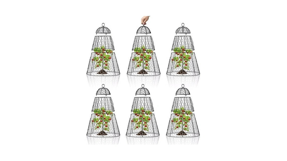 Dadywheels Easy-snap Open Design Chicken Wire Cloche (6-pack) - Adjustable