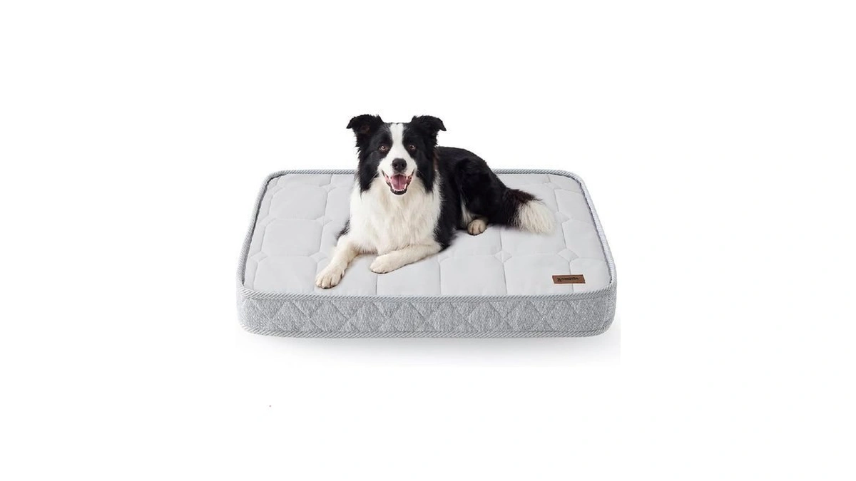 Zomisia Q-max 0.5 Orthopedic Cooling Dog Bed For Crate, Reversible