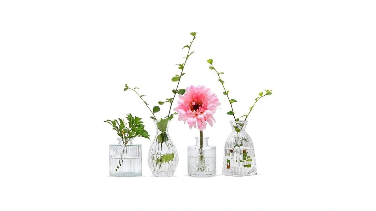 Mapoxy Glass Bud Vases Set Of 4,small Flower Vases For