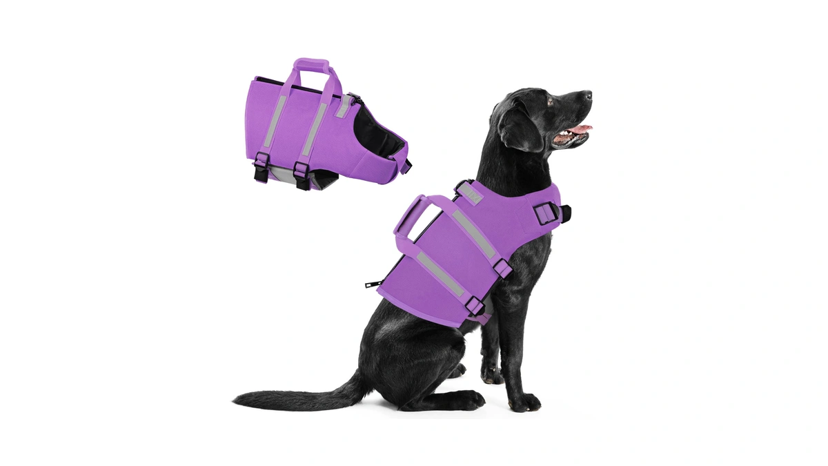 Queenmore Dog Life Jacket, Large Dog Life Vest For Swimming,