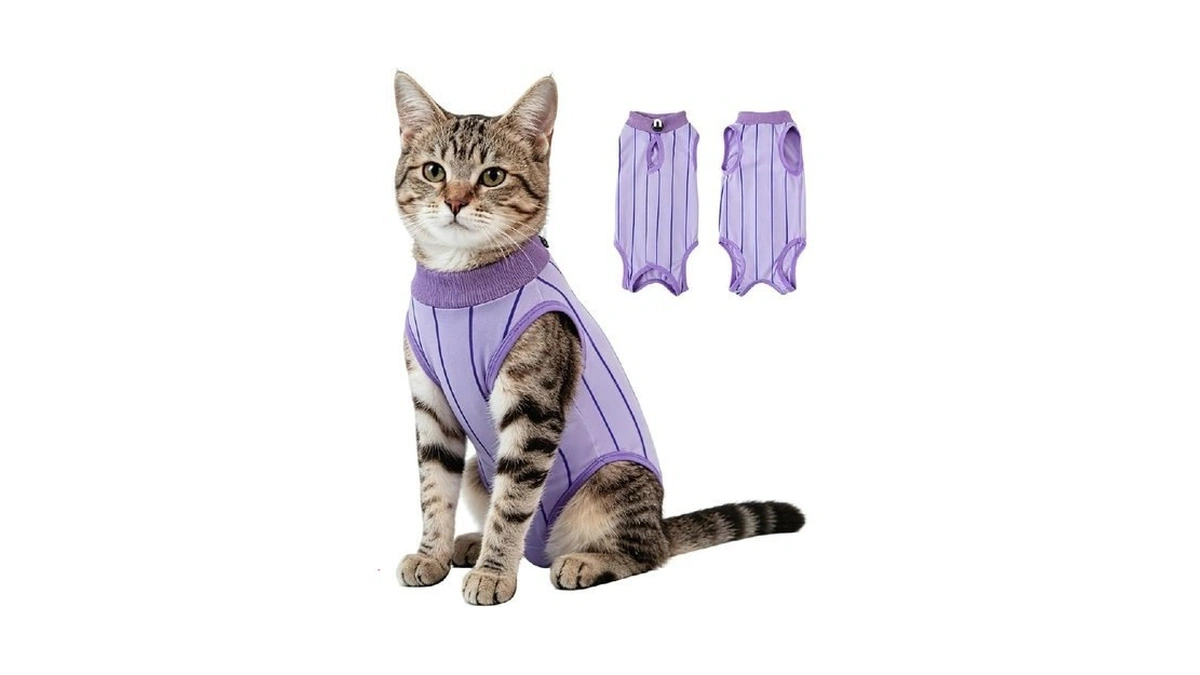 Emust Cat Surgery Recovery Suit Female, Kitten Onesie After Spay