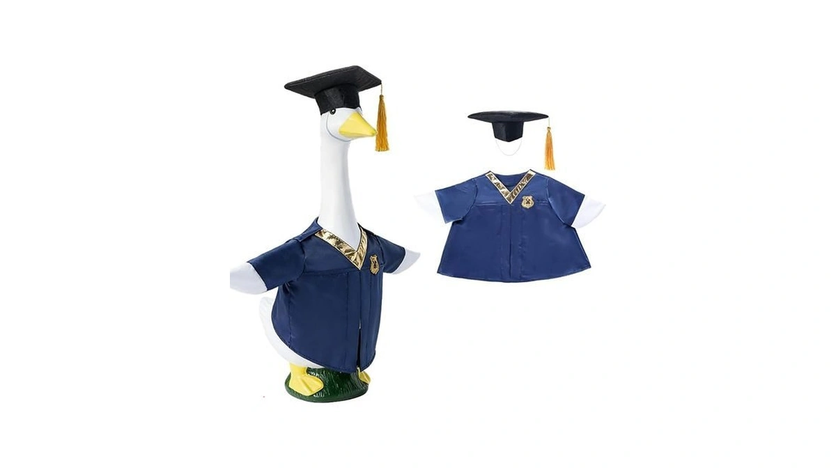 Vokupoga Porch Goose Outfits, Graduation Season