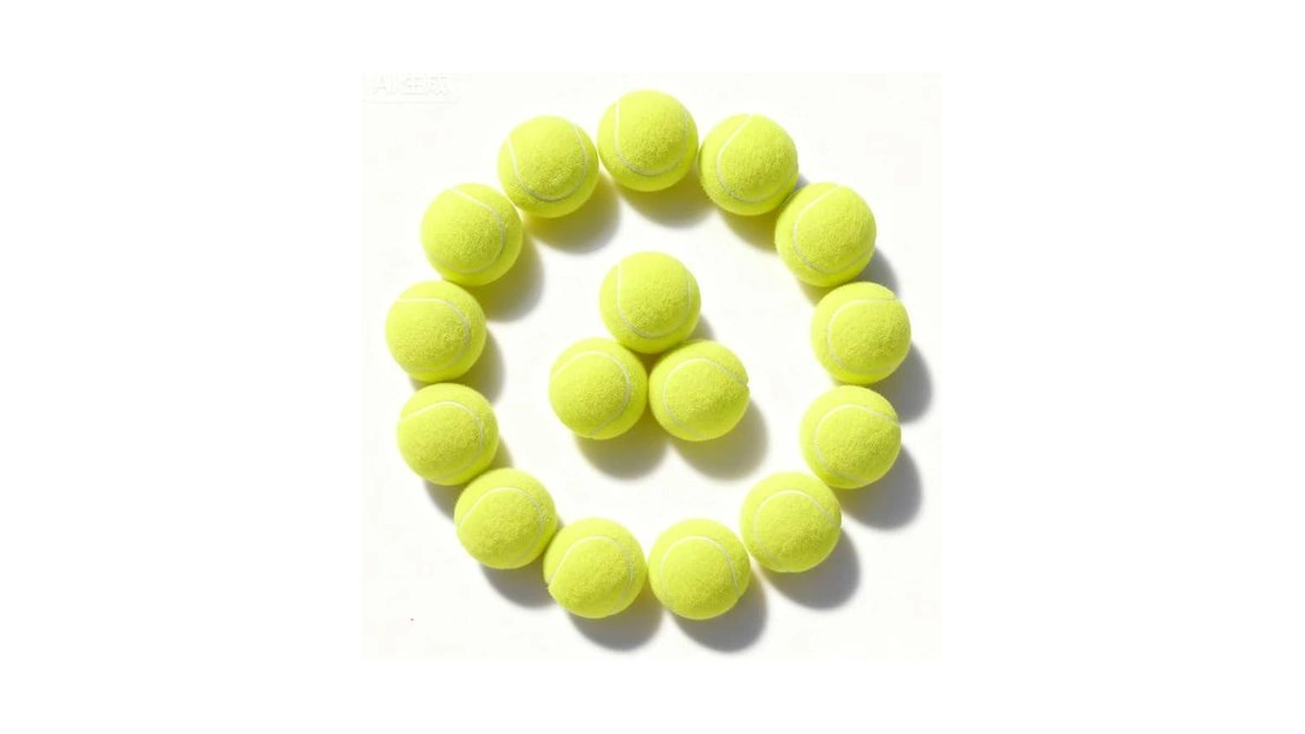 Poypet 16-pack Tennis Balls Bulk For Practice,training And Beginners |