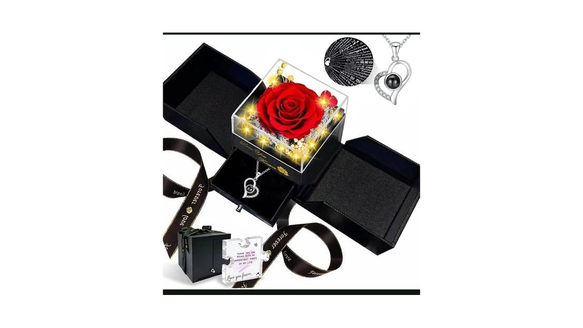 Megapuxin Preserved Real Rose Birthday Gifts For Women Eternal Flowers