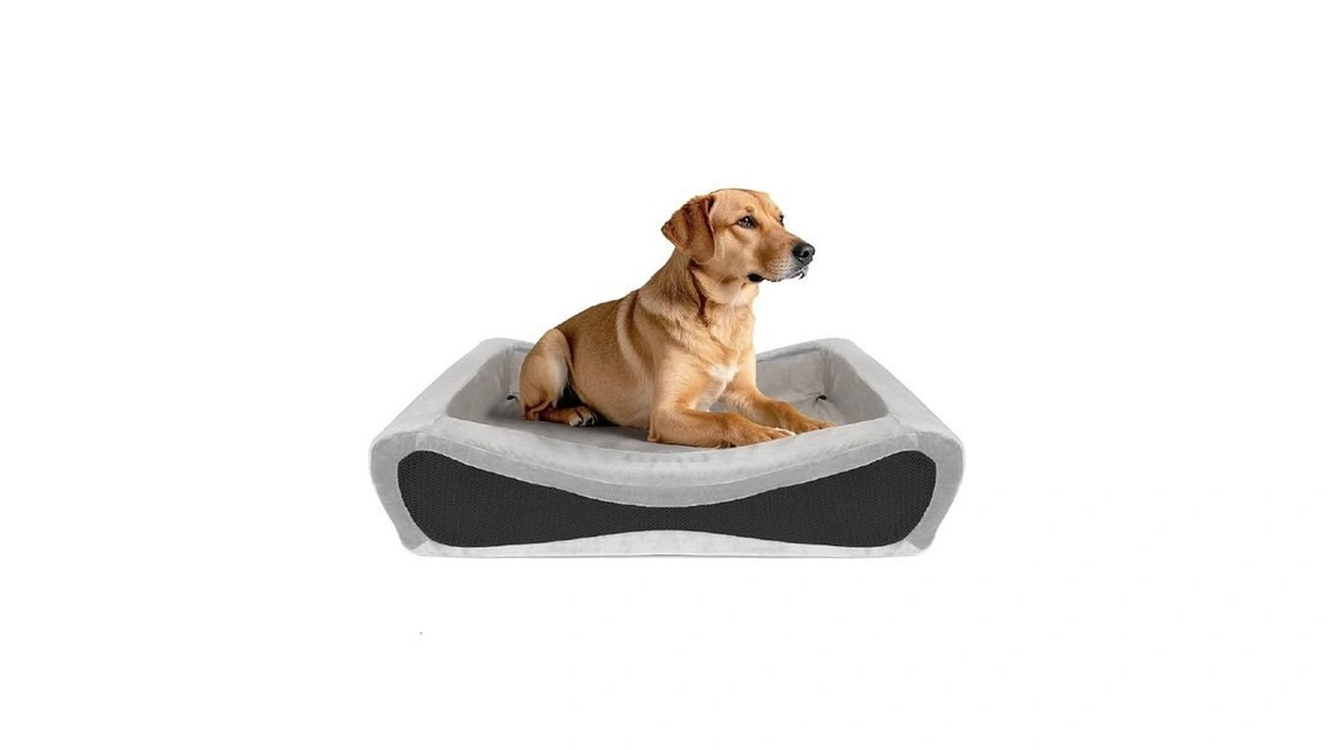 Npet Memory Foam Pet Beds For Small Medium Dogs, Orthopedic