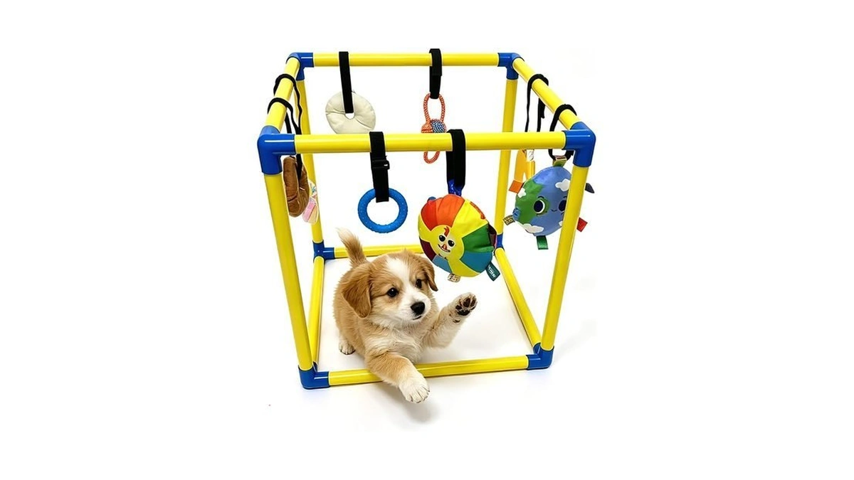 Chouchouter Puppy Play Gym With 8 Hanging Toys - Indoor