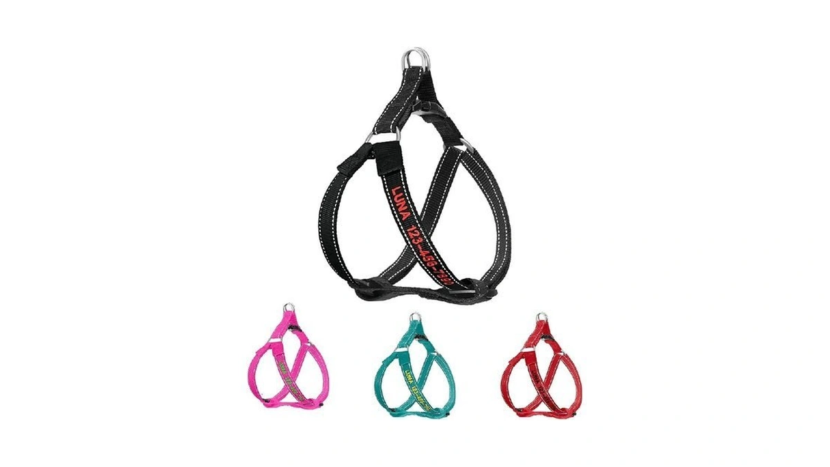Personalized Dog Harness - Custom No Pull Pet Harness With