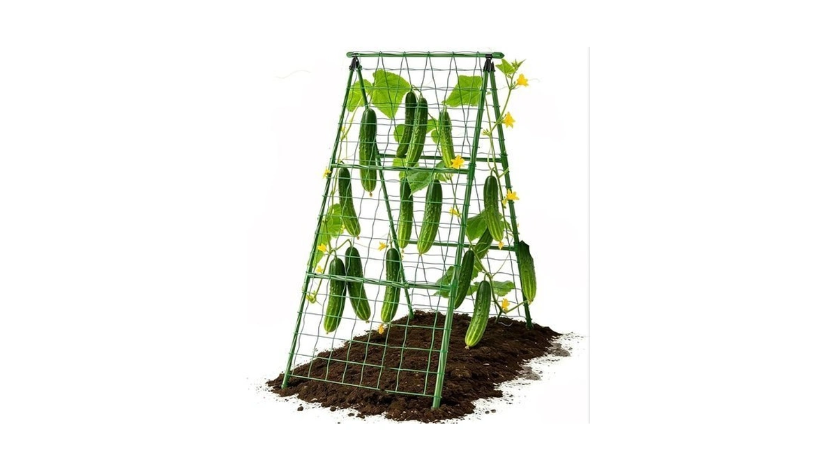 Cucumber Trellis Garden Trellis Arch Trellis, Tall Trellis For Climbing