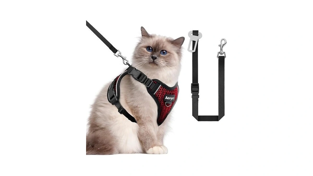 Cat Harness And Leash For Walking Escape Proof Soft Adjustable
