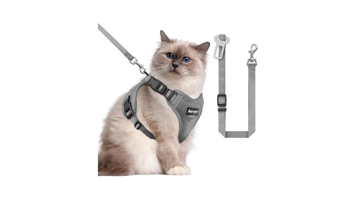 Cat Harness And Leash Set For Walking Escape Proof, Adjustable