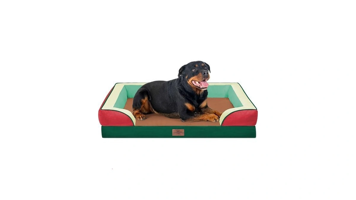 Comfort Expression Orthopedic Dog Bed For Extra Large Dogs With