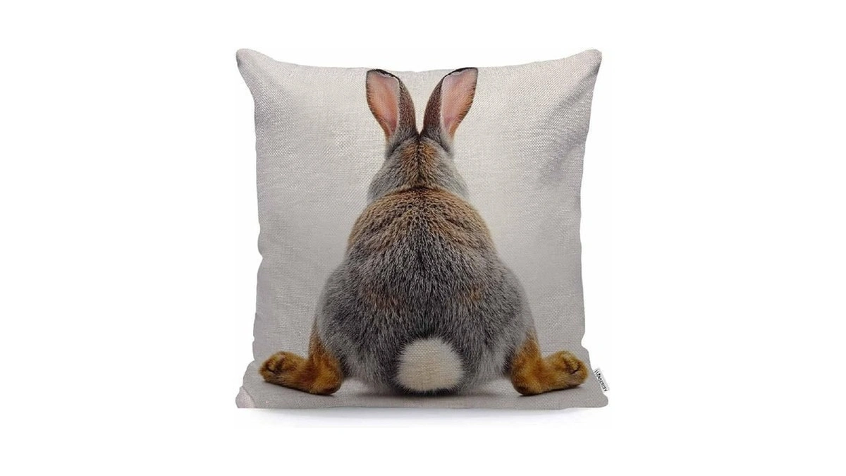 Wondertify Throw Pillow Case Cover Grey Rabbit Isolated On A