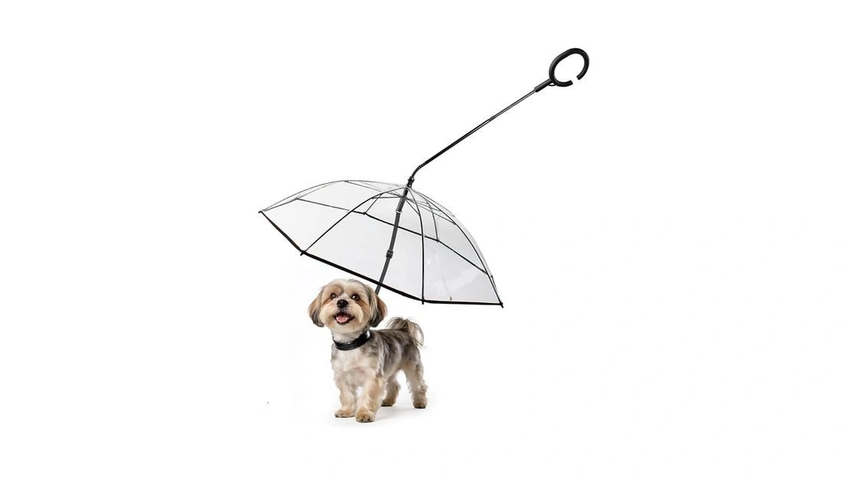 Amazon code: Namsan Small Dog Rain Umbrella, Windproo