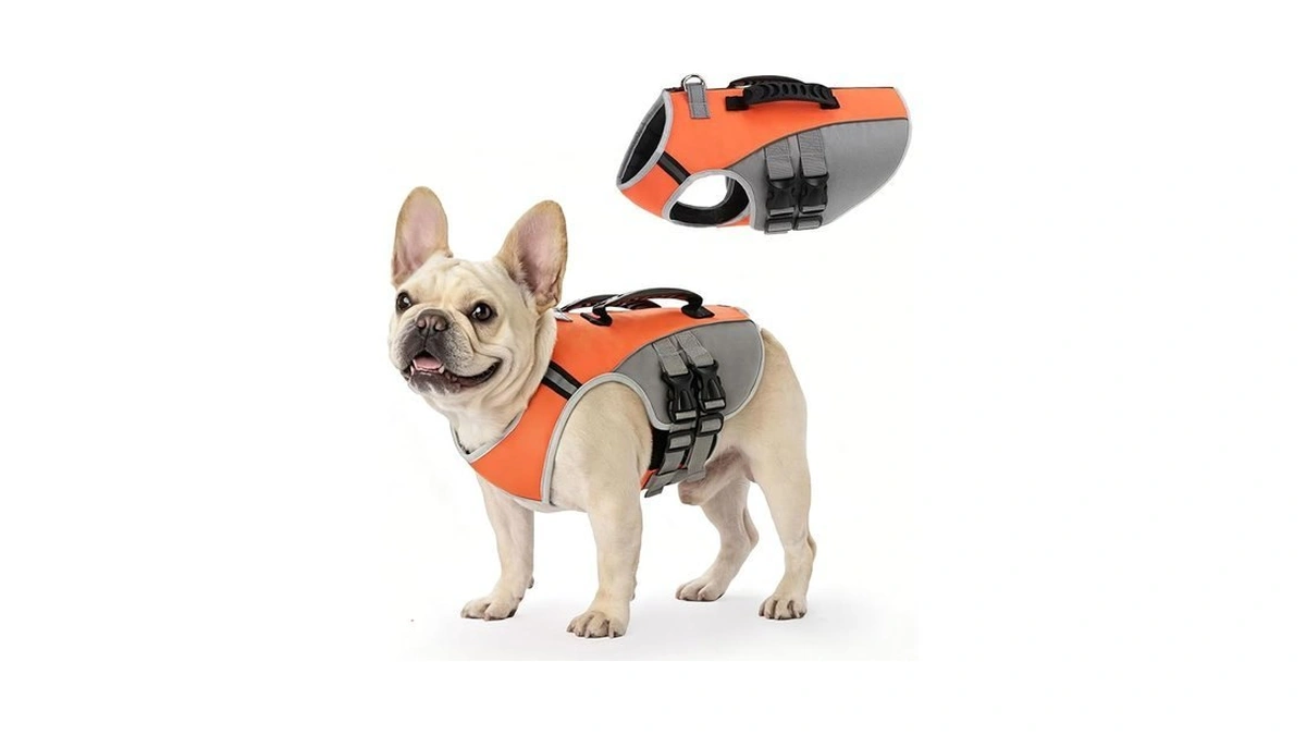 Beautyzoo Dog Life Jacket For Swimming Boating Pool Lake, Medium