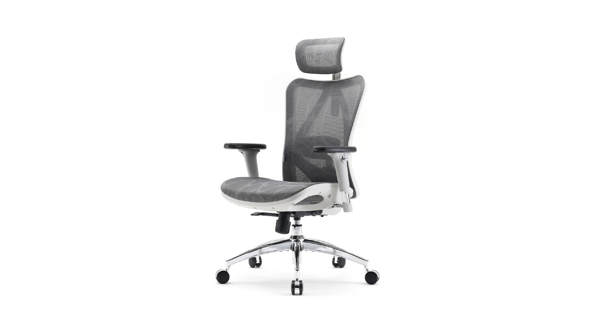 Sihoo M57 Ergonomic Mesh Office Chair, High Back Home Desk