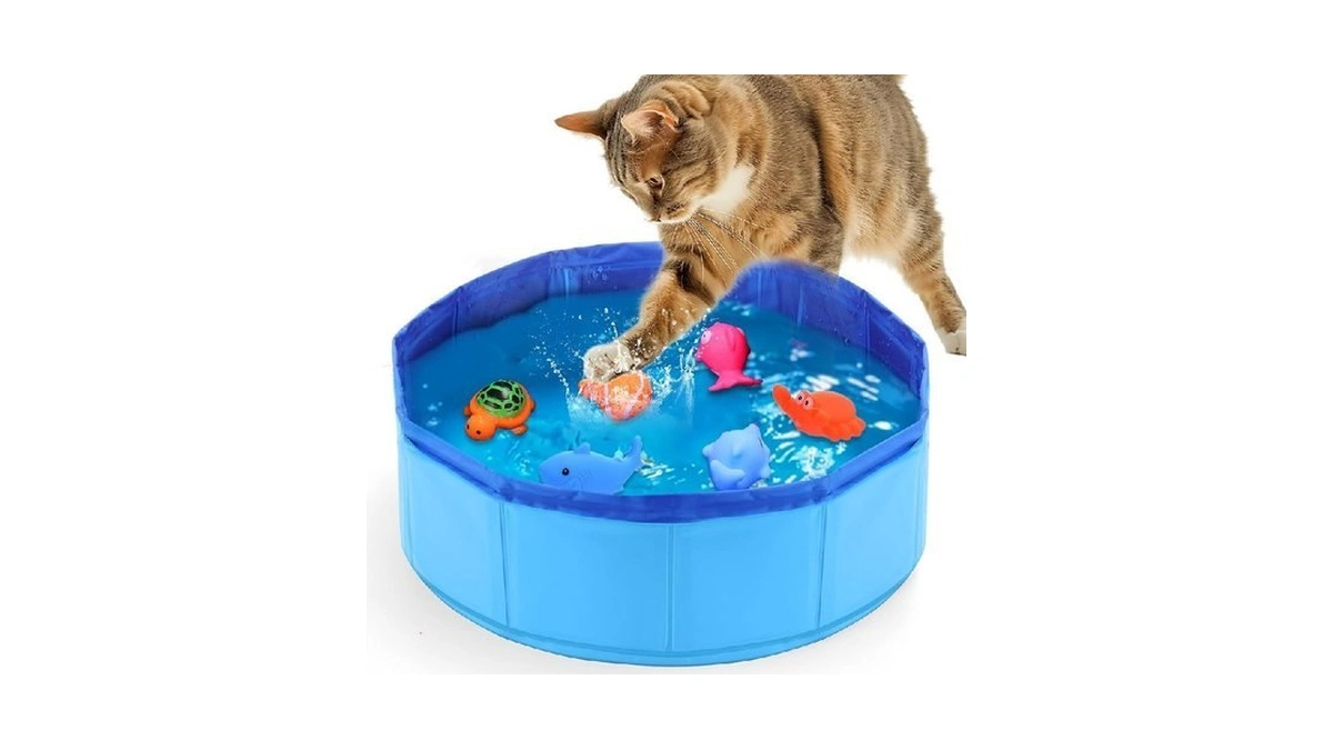 Mity Rain Cat Water Toy