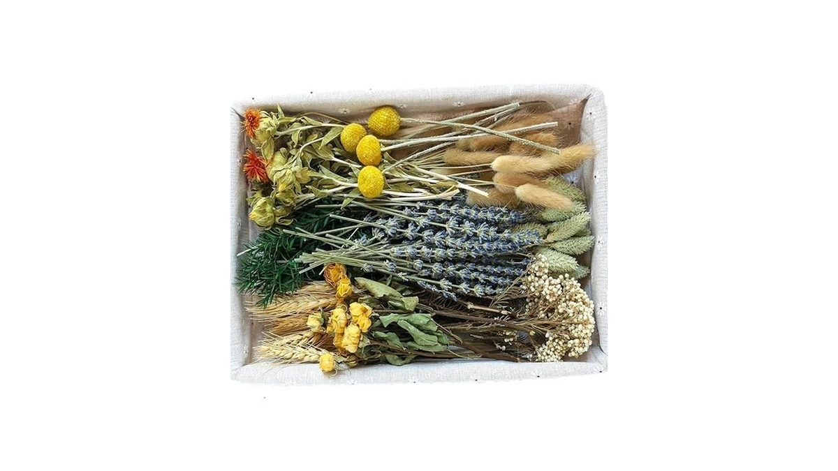 Xin's Convey Diy Natural Dried Flower Set, Bulk Dried Flowers
