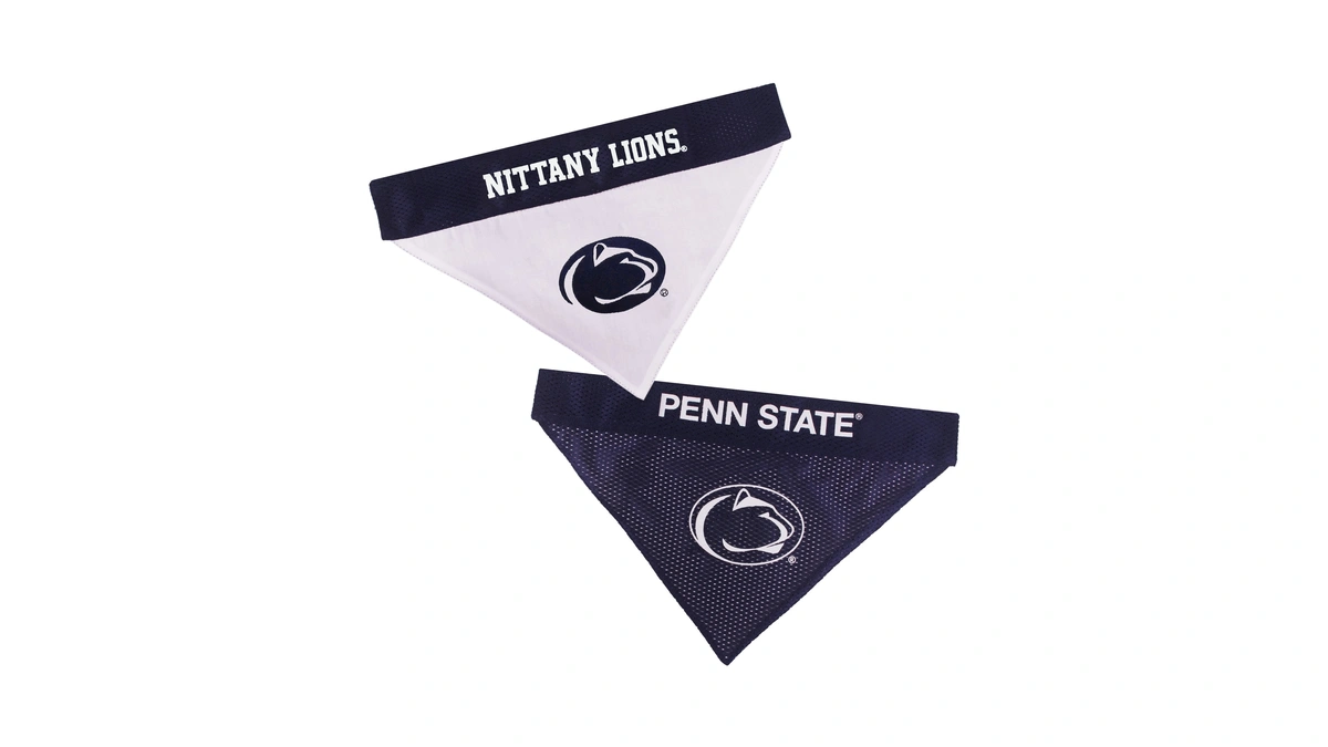Amazon : Pets First Collegiate Pet Accessories, R