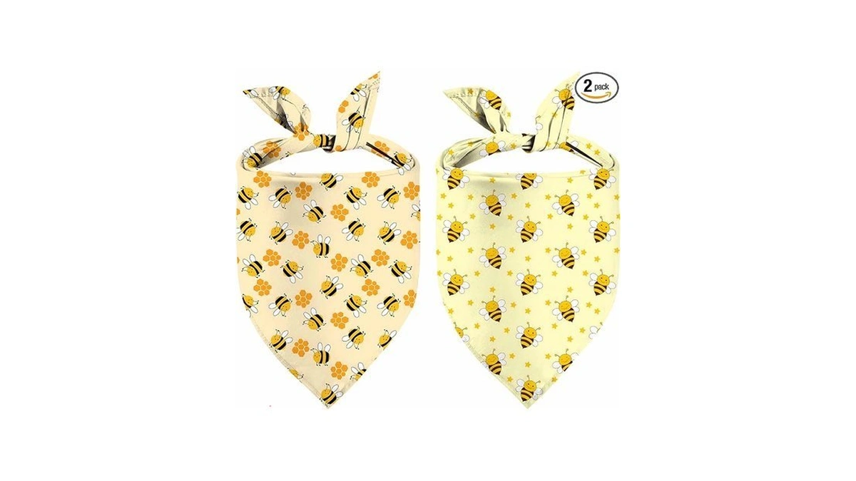 Spring Summer Dog Bandanas Reversible Large 2 Pack, Floral Bee