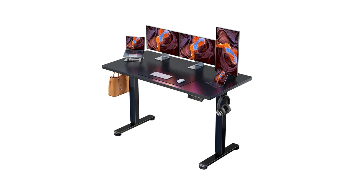 Ergear 55 X 28 Inches Height Adjustable Electric Standing Desk,