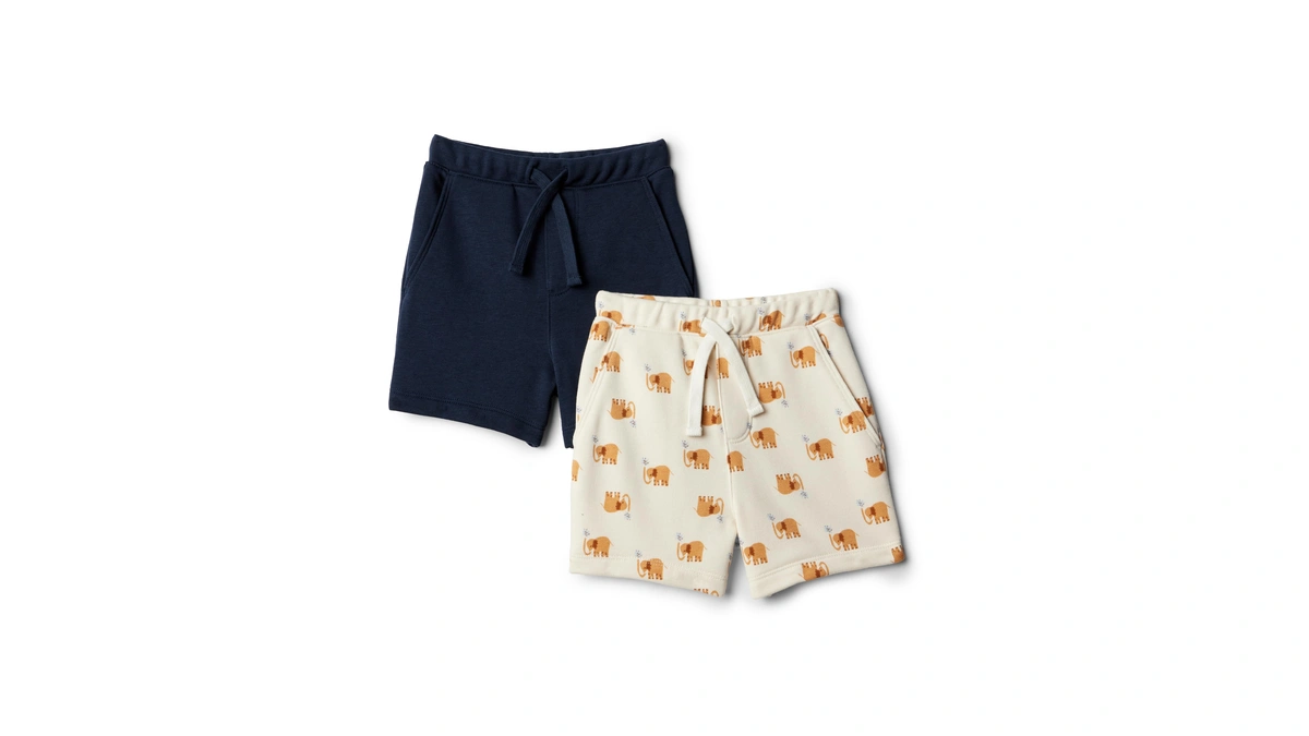 Amazon Essentials Baby Boys' Baby Boys' And Toddlers 2-pack Pull