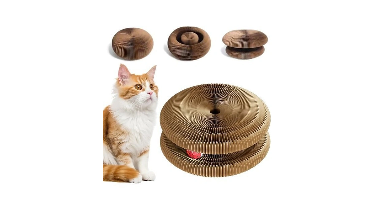 Cat Toy, Cat Scratchers For Indoor Cats Magic Organ Foldable