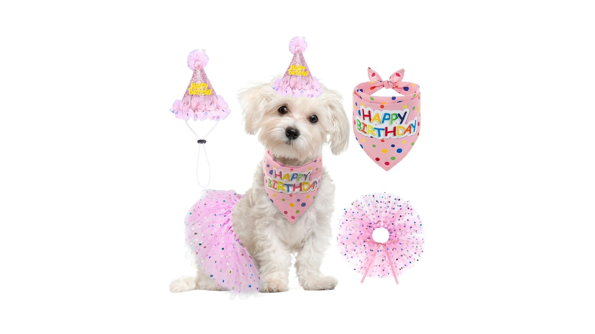 Scenereal Dog Birthday Bandana With Hat And D...