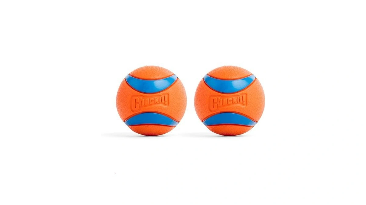 Chuckit! Ultra Ball Dog Toy - Medium Bouncy Fetch Balls