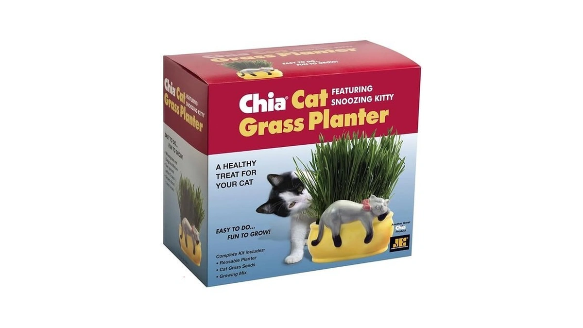 Chia Pet Kitty Cat Grass, Decorative Pottery Planter, Easy To