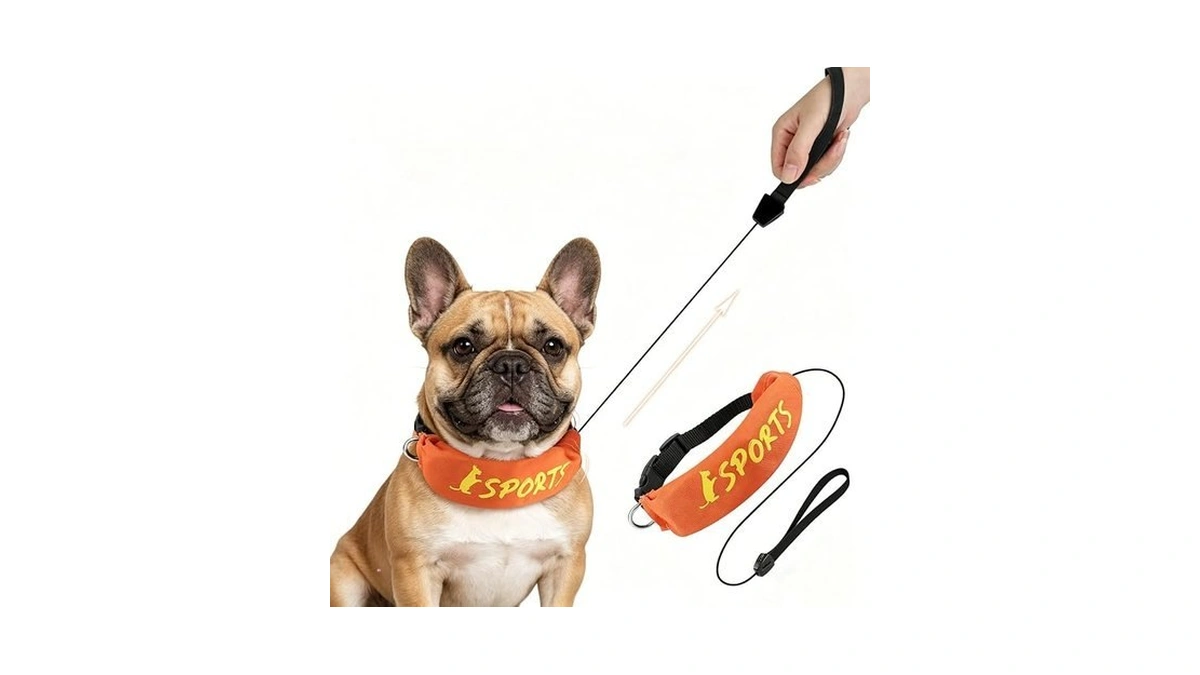 Namsan Retractable Medium Dog Leash And Collar Set, Dog Collar