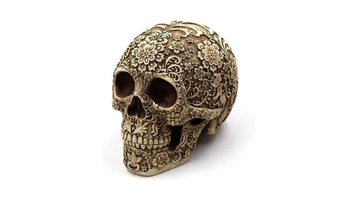 Stacknovo Halloween Skull Decoration - Realistic 8.2" Life Size Skeleton