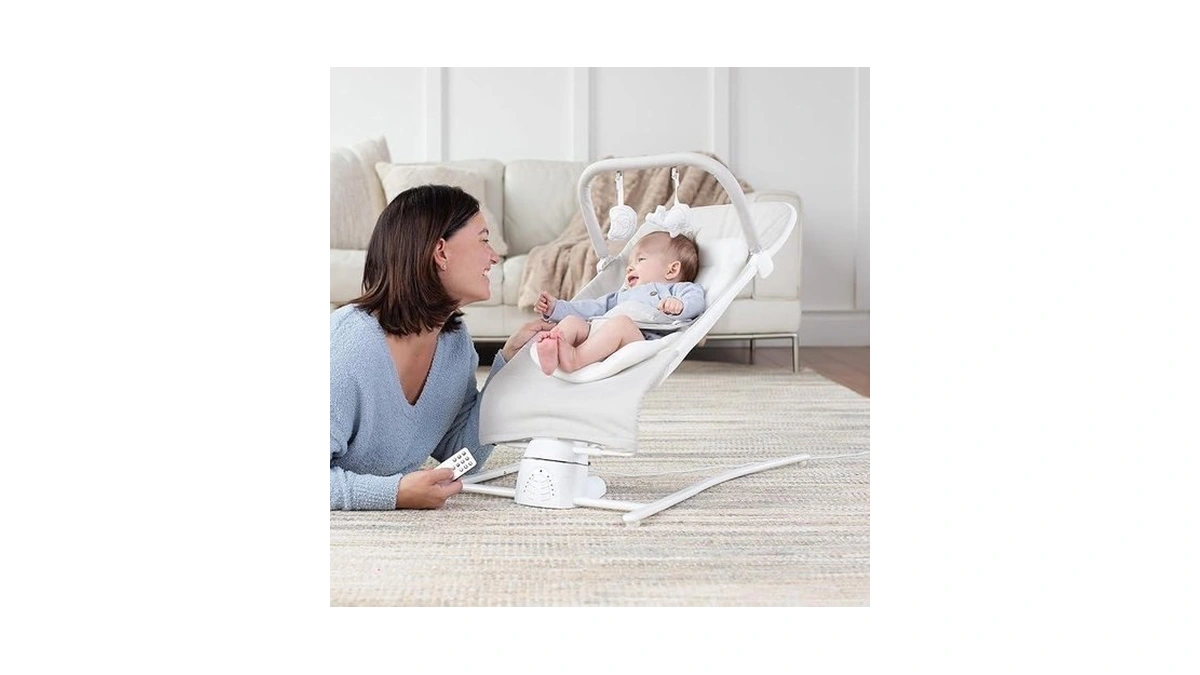 Baby Delight Alpine Wave Deluxe Infant Swing, Driftwood Grey
