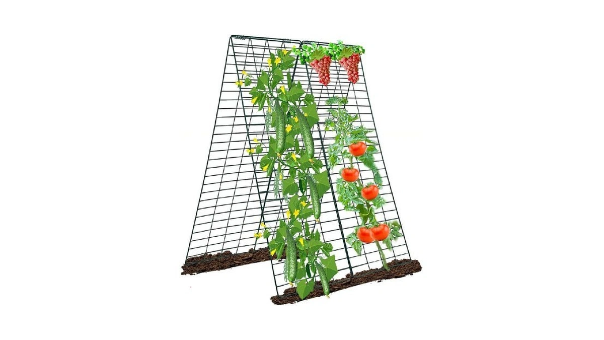 Foldable Cucumber Trellis, Heavy Duty Steel Plant Support Frame (2pack)