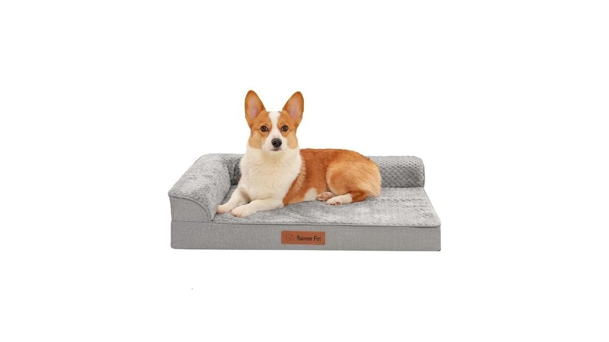 Rainmr Memory Foam Orthopedic Dog Bed, Washable Dog Couch With