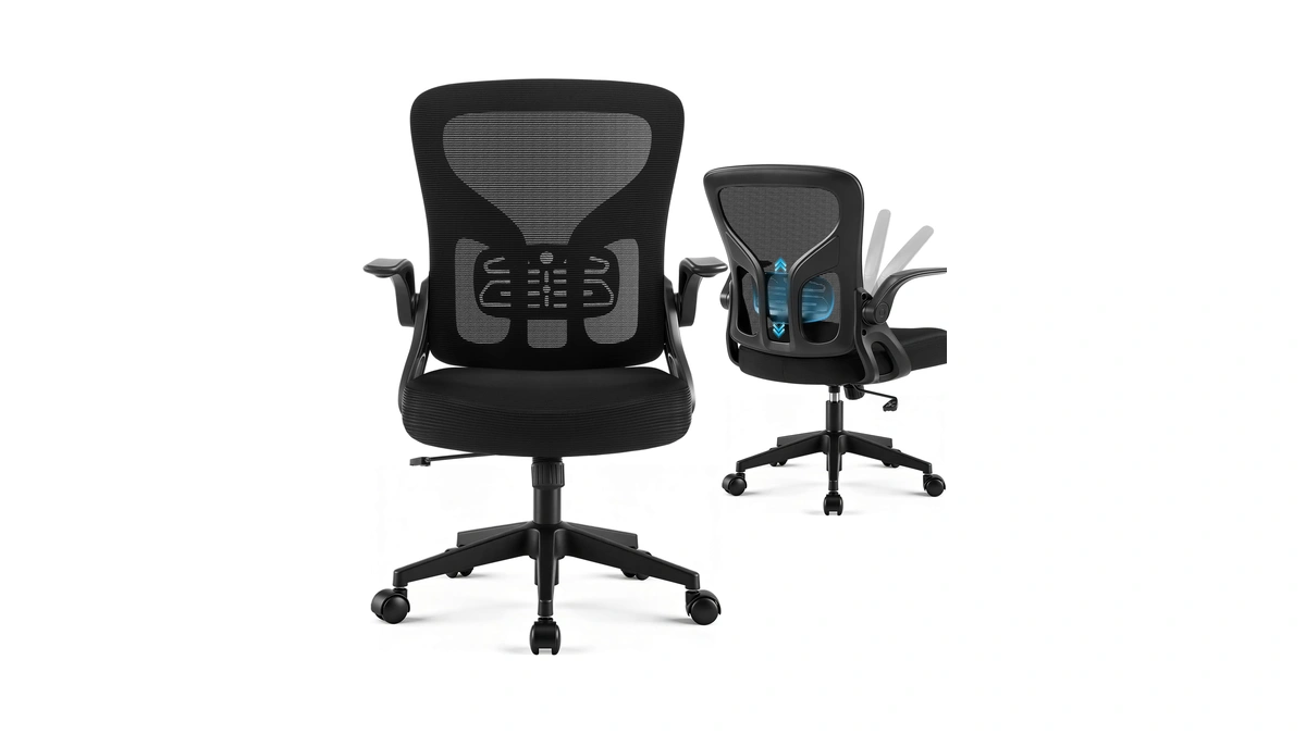 Hayelf Office Chair Ergonomic Desk Chair With Adjustable Lumbar Support,
