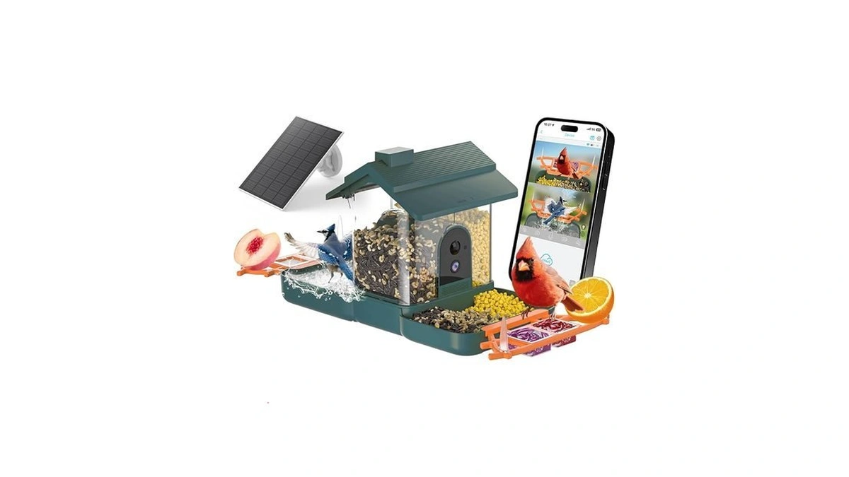 2-in-1 Bird Bath And Bird Feeder With Cameras Solar Powered
