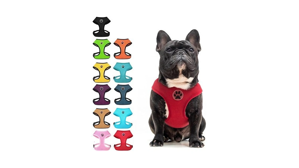 Bingpet Small Dog Harness, No Pull Dog Harness Small Sized