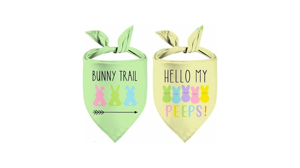 Easter Dog Bandana, 2 Pack Adjustable Holiday Party Pets Easter