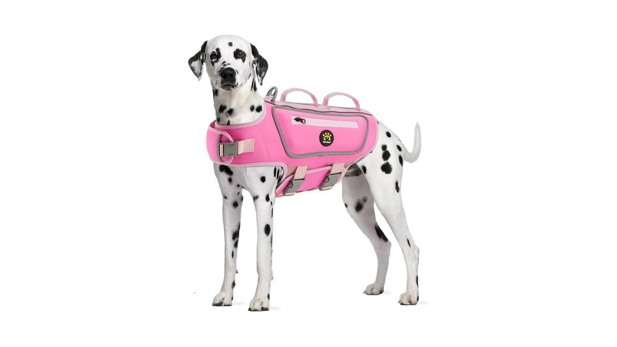 Amazon code: Sheripet Dog Life Jacket, Good Visibilit