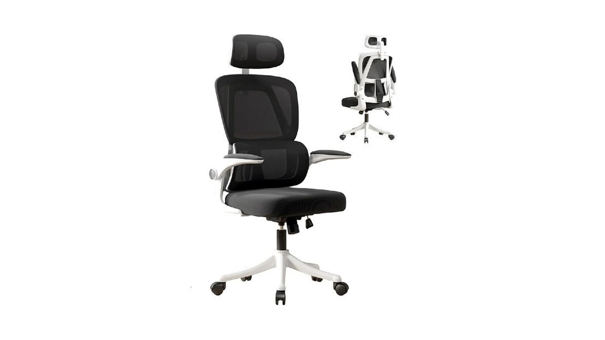 Vidita Ergonomic Office Chair With Dynamic Lumbar Support & Adjustable