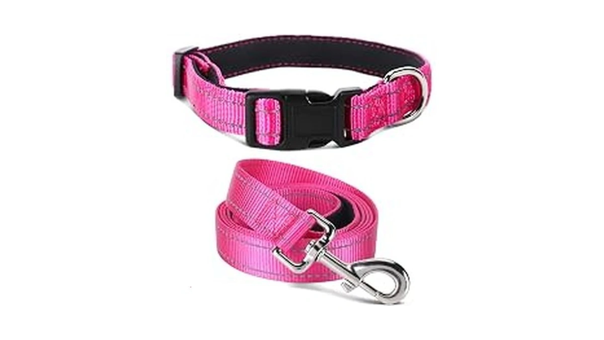 Jumpress Soft Padded Small Dog Collar And Leash Set (hot