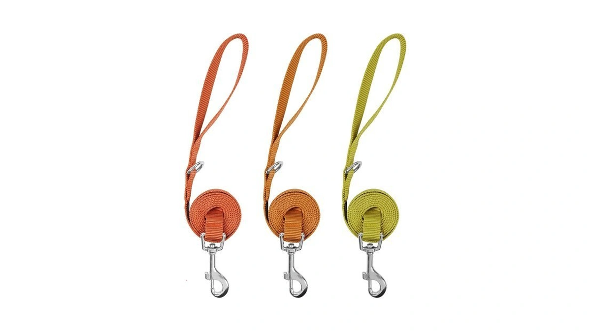 Azuza 3 Pack Fall Nylon Dog Leashes Strong & Durable