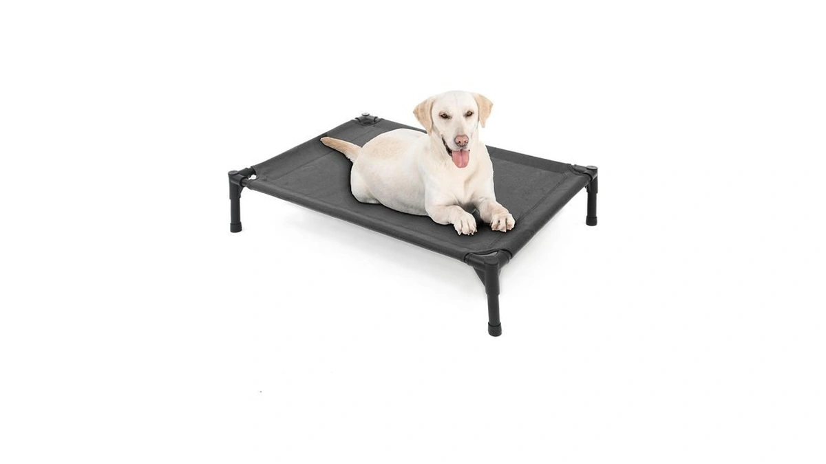Garnpet Elevated Dog Bed For Large Dogs, Raised Dog Cot